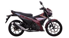 Suzuki Raider