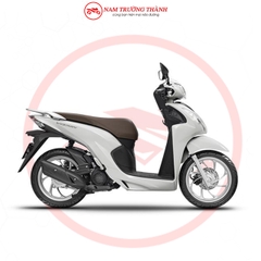 Vision Phiên bản Cao cấp