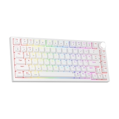 Bàn Phím Cơ Gaming Newmen GM326 (White)