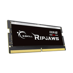 RAM laptop G.SKILL RIPJAWS (1 x 16GB) DDR5 4800MHz (F5-4800S4039A16GX1-RS)