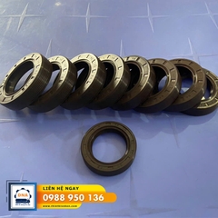 BƠM BÁNH RĂNG NHỰA