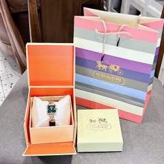 Coach Cass |Nữ Giới |Mặt Vuông |Vàng Gold |Dây Da Xanh Lá |Máy Pin (Quartz) |Size 22mm