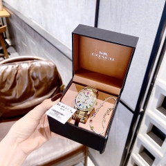 Coach Preston Rainbow |Nữ Giới |Mặt Khảm Đá |Dây Kim Loại Vàng Gold |Máy Pin (Quartz) |Size 36mm