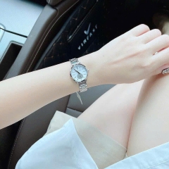 Michael Kors Portia |Nữ Giới |Mặt Đính Đá |Dây Kim Loại Silver |Máy Pin (Quartz) |Size 28mm