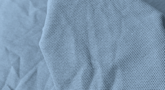 Cá sấu lục giác Tici