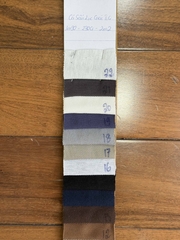 Cá sấu lục giác Tici