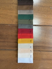 Cá sấu lục giác Tici