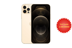 iPhone 12 Pro Max Quốc Tế