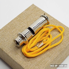 CÒI THIẾU NHI THÁNH THỂ