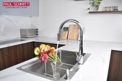 Vòi rửa bát Paul Schmitt PA305K