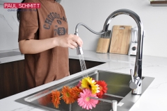 Vòi rửa bát Paul Schmitt PA305K