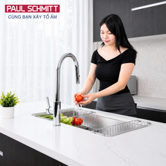 Chậu rửa bát Paul Schmitt PAM7644-UE