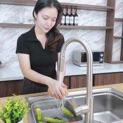 Chậu rửa bát Paul Schmitt PAM7845-TE