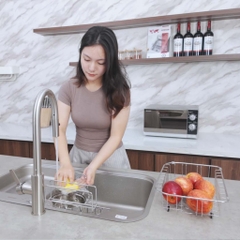 Chậu rửa bát Paul Schmitt PAM7848-TE