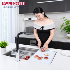 Chậu rửa bát Paul Schmitt PAM7647-UE