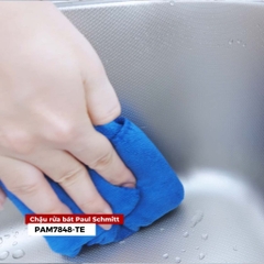 Chậu rửa bát Paul Schmitt PAM7848-TE