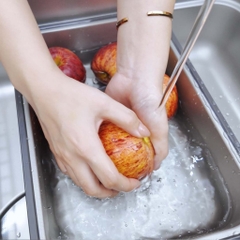 Chậu rửa bát Paul Schmitt PAM8050-TE