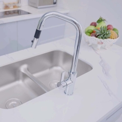 Chậu rửa bát Paul Schmitt PAM82461-UE