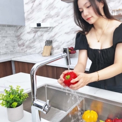 Vòi rửa bát Paul Schmitt PA337K