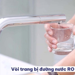 Vòi rửa bát Paul Schmitt PA328K