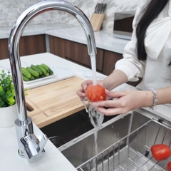 Vòi rửa bát Paul Schmitt PA323K