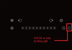 Bếp Từ Đôi Rapido RI4000VN