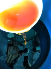 Nước mắm Phan Rang Lâm Ngọc - Nhãn đỏ 750 ml