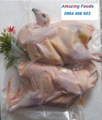 THỊT CHIM TRĨ ĐỎ | WHOLE PHEASANTS