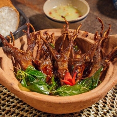 Lưỡi Vịt Tươi