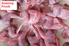 THỊT CÚT TƯƠI | QUAIL  MEAT