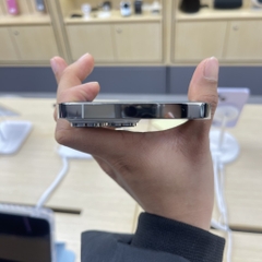 iPhone 14 Pro Max 256GB Silver 77%