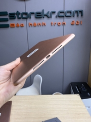 iPad mini 5th 64GB Gold 100%