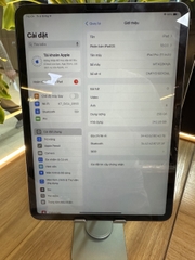 iPad Pro 11-inch 1st 256GB Space Gray 3/100b