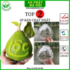 Khuôn tạo hình bưởi - Khuôn Bưởi hình Giọt Nước