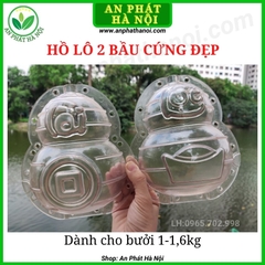 Khuôn hình Hồ Lô (Hồ Lô 1 bầu và Hồ Lô 2 bầu)