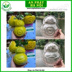 Khuôn hình Hồ Lô (Hồ Lô 1 bầu và Hồ Lô 2 bầu)