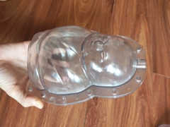 Khuôn Bưởi Tiểu Đồng