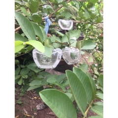 Khuôn Cam/Ổi Hình Thỏi Vàng