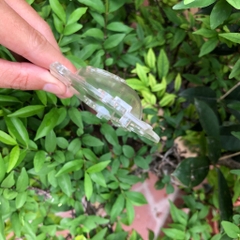 Khuôn Cam/Ổi Hình Thỏi Vàng