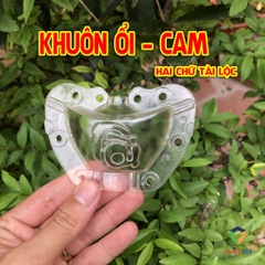 Khuôn Cam/Ổi Hình Thỏi Vàng