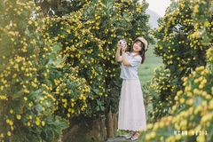 Vườn xương rồng cổ 5.000 m2 nở rộ ở Mộc Châu