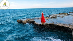 Tour Hang Rái - Vườn Nho - Đồng Cừu [Trọn gói - ưu Đãi 30%]