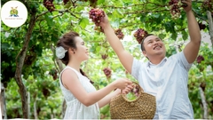 Tour Hang Rái - Vườn Nho - Đồng Cừu [Trọn gói - ưu Đãi 30%]