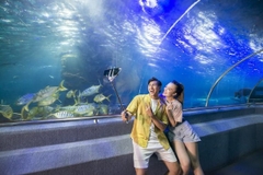 Tour du lịch Nha Trang 2 ngày 1 đêm