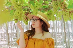 Tour Sài Gòn - Nha Trang 3N3Đ
