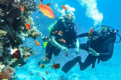 Tour lặn biển - Hòn Mun