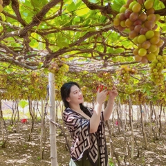 Tour Nha Trang - Mũi Né 5 ngày 4 đêm