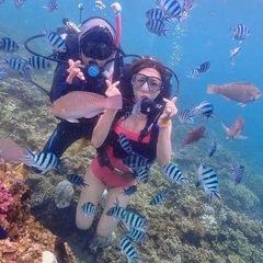 Tour Nha Trang 3 ngày 2 đêm - Ghép giá rẻ, chất lượng cao