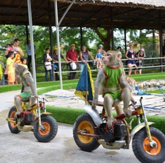 Tour Nha Trang 3 ngày 2 đêm - Ghép giá rẻ, chất lượng cao