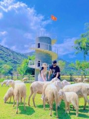 TOUR HANG RÁI VĨNH HY ĐỒNG CỪU VƯỜN NHO